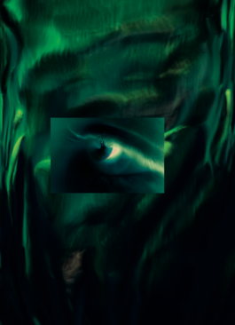 TAMARA KNAPP
